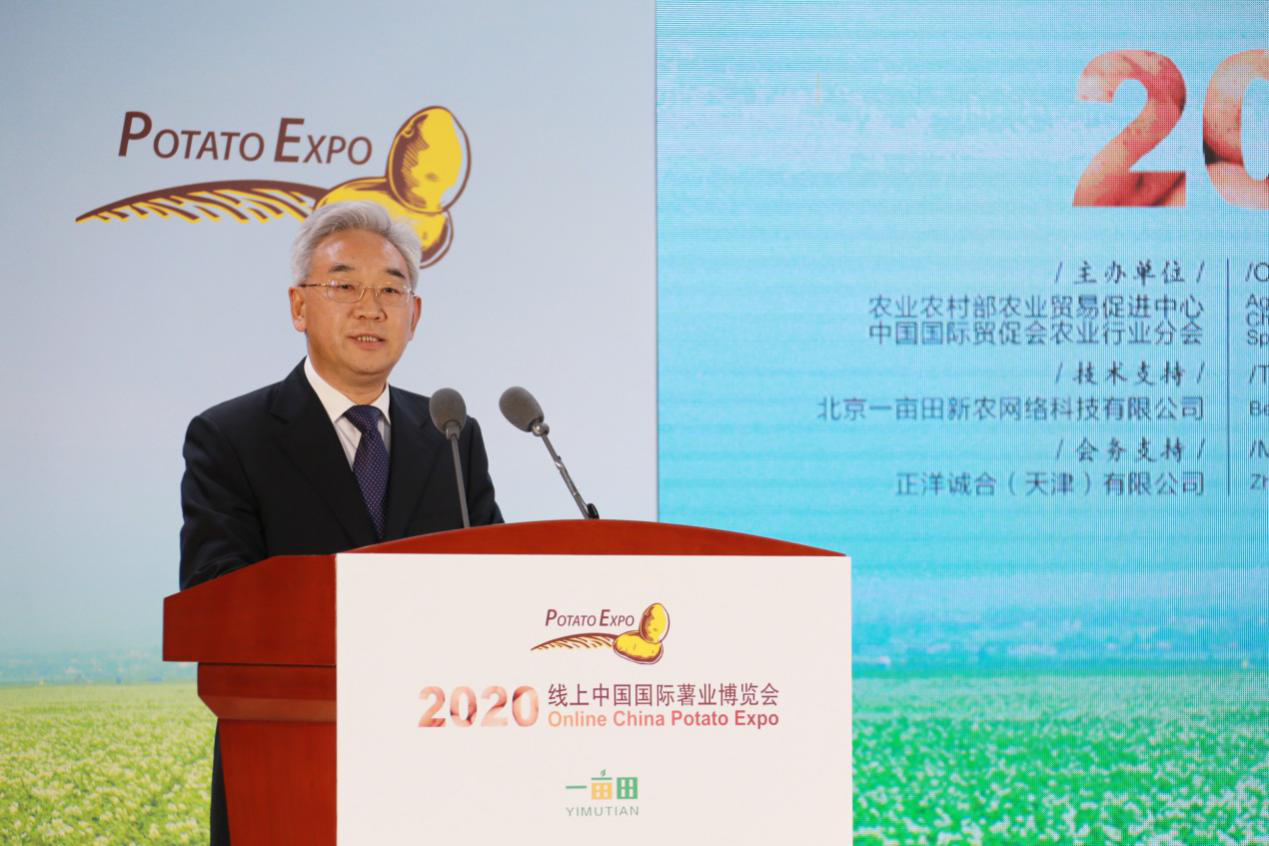 张桃林副部长出席2020（线上）中国国际薯业博览会开幕活动