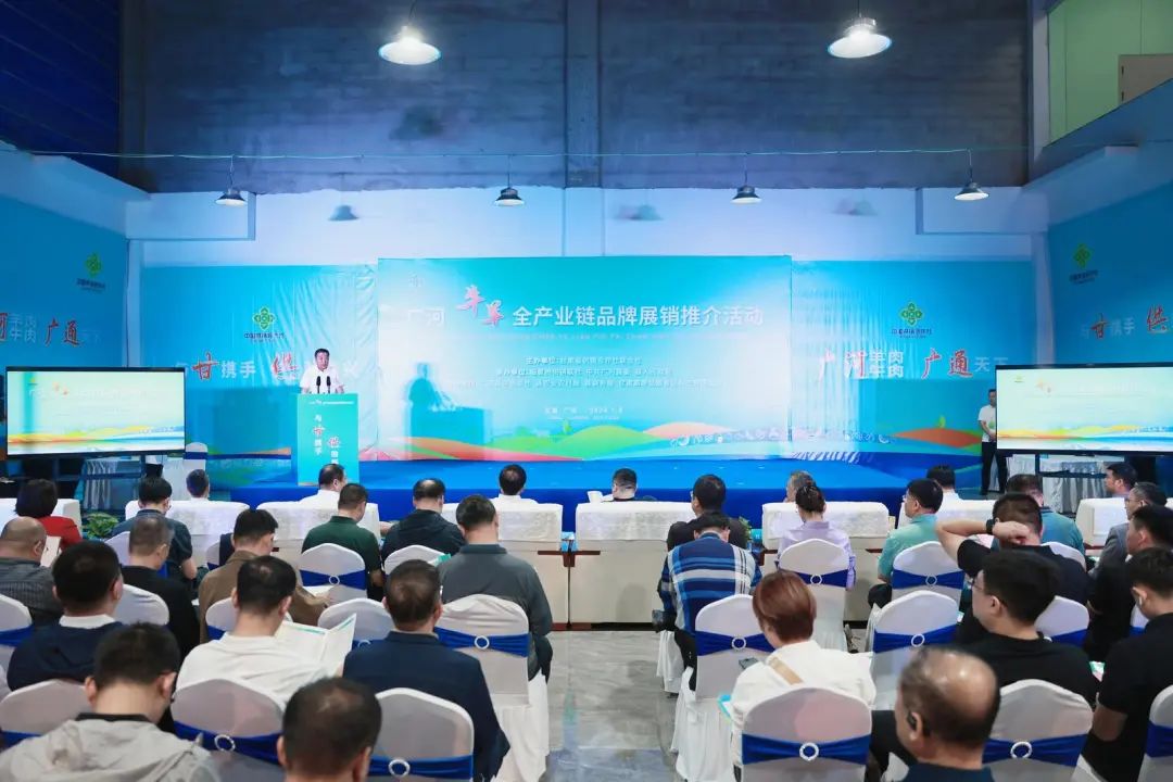 深化企地合作，助力广河县牛羊肉产业发展